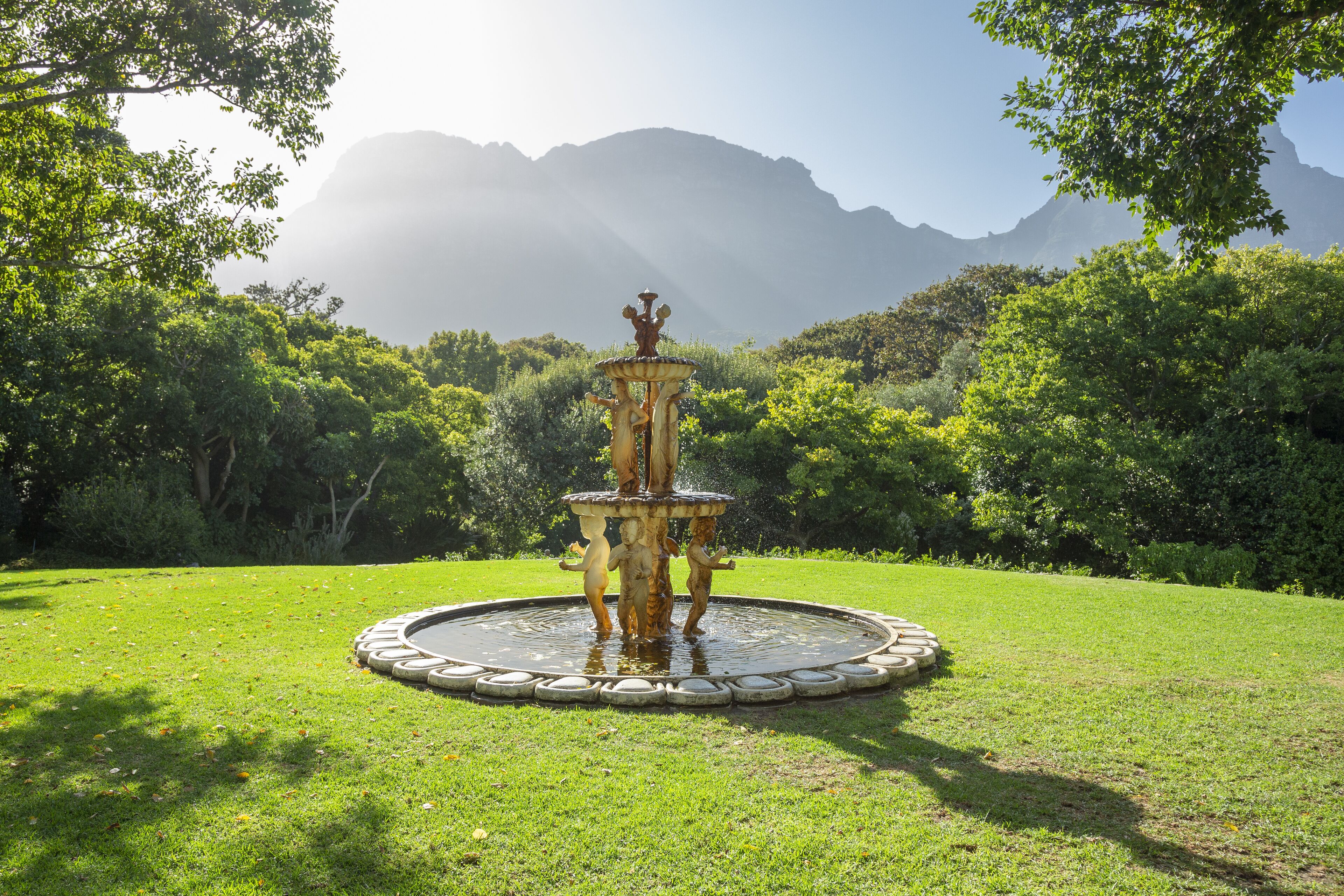 حديقة