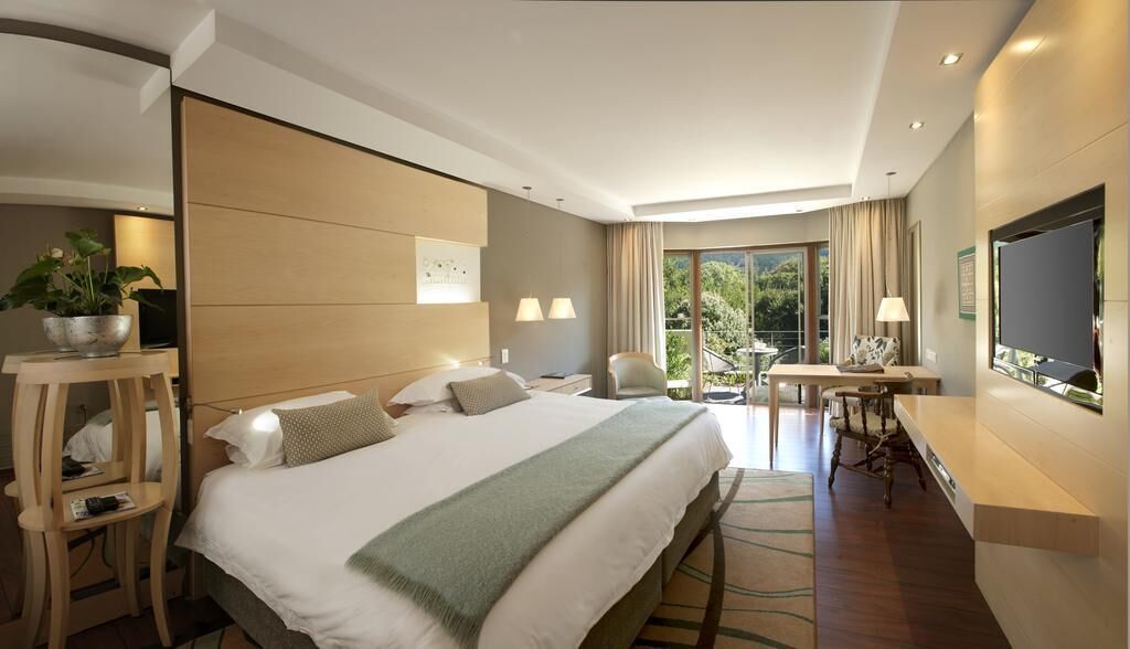 Une chambre d’hôtel avec un grand lit, un bureau, une télévision, une plante et une vue sur l’extérieur.