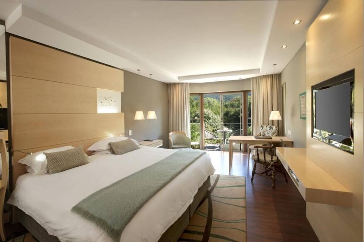 Une chambre d’hôtel avec un grand lit, un bureau, une télévision, une plante et une vue sur l’extérieur.