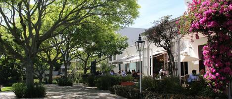 2 restaurants, spécialités Cuisine internationale