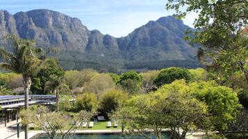 A pool area with a view of mountains, surrounded by lush greenery and palm trees.