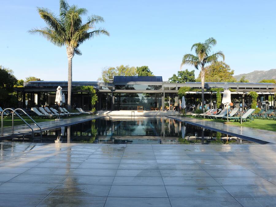 Un área de piscina moderna con sillones de descanso y palmeras.