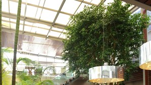 Un comedor interior con mesas y sillas, rodeado de plantas y árboles en macetas.