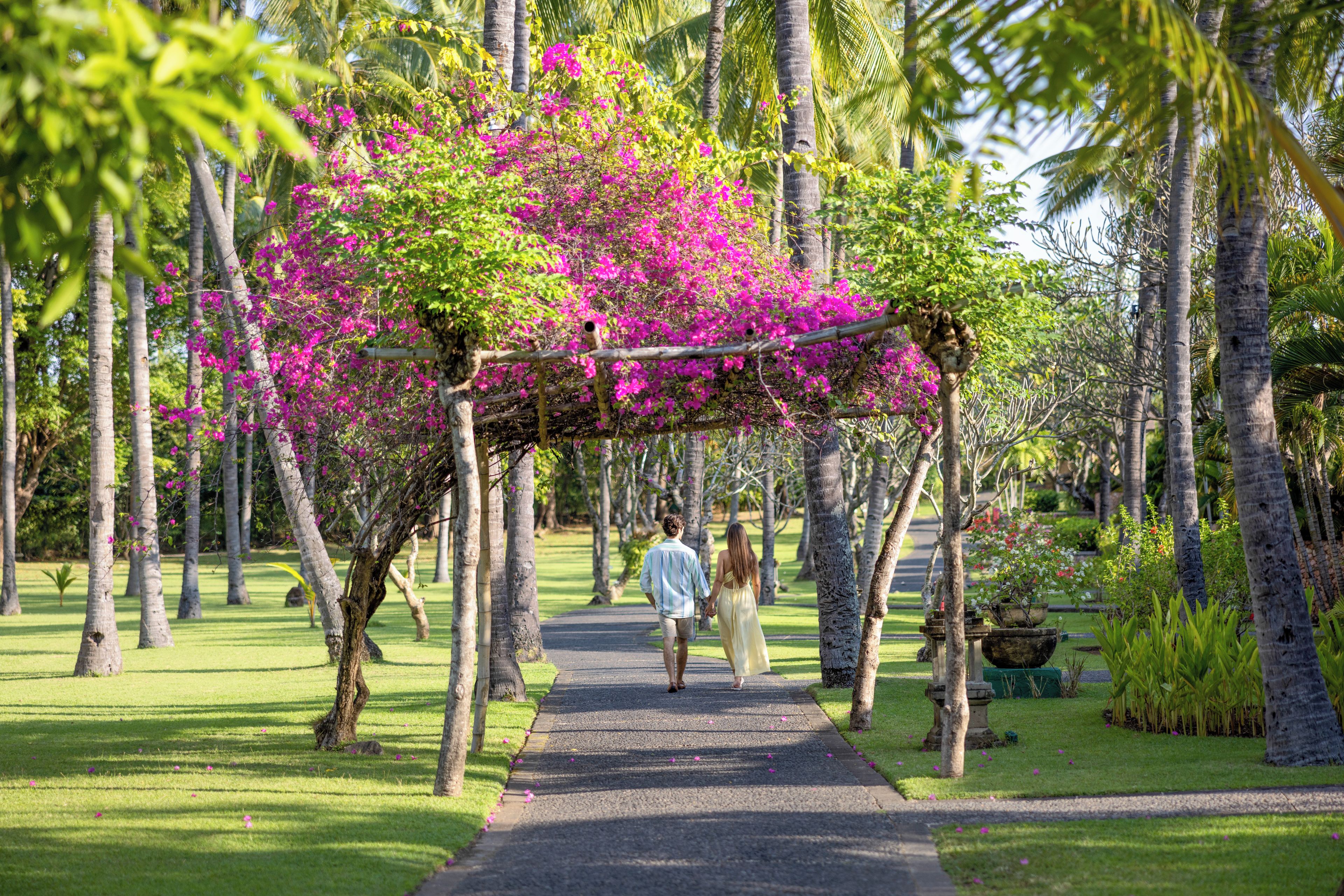 A pathway leading through a garden with a pergola covered in pink flowers.