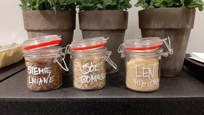Three glass jars with metal clasps and red lids, labeled with different names, placed on a countertop. - Villa Ozone (Sopot)