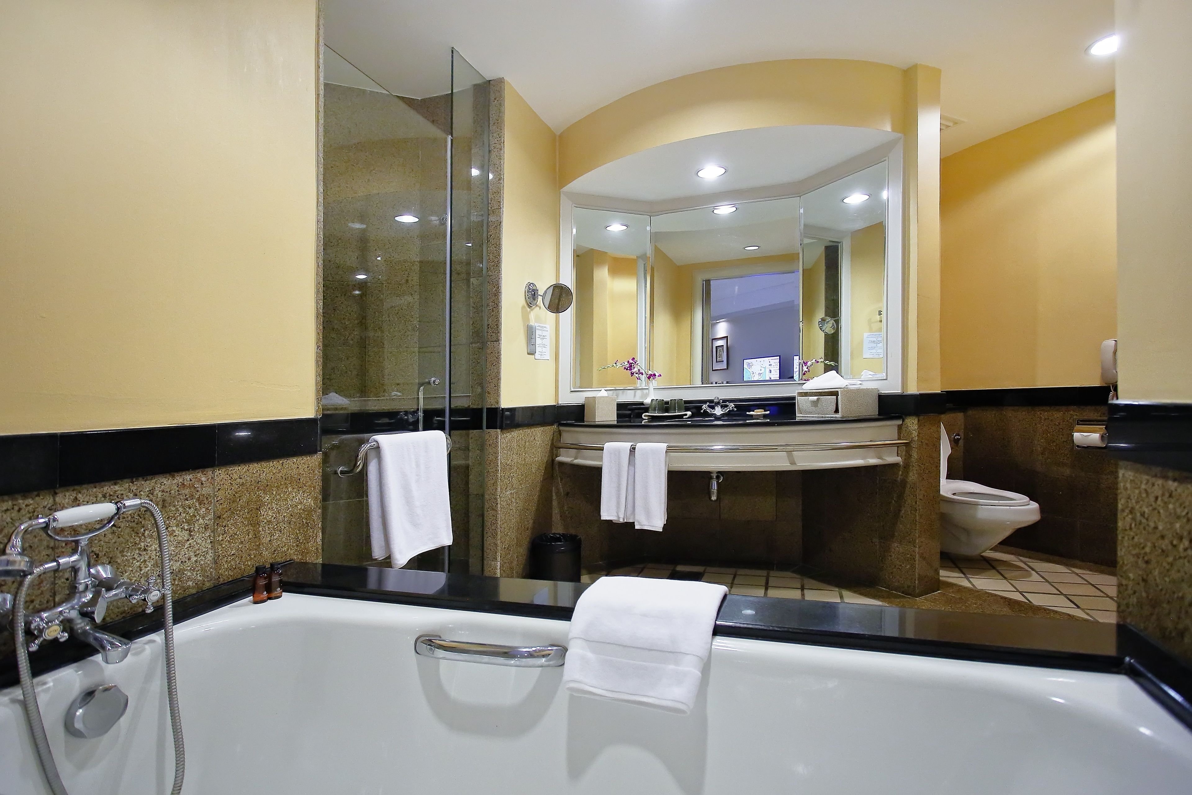 separate bathtub and shower, free toiletries, hair dryer, bathrobes