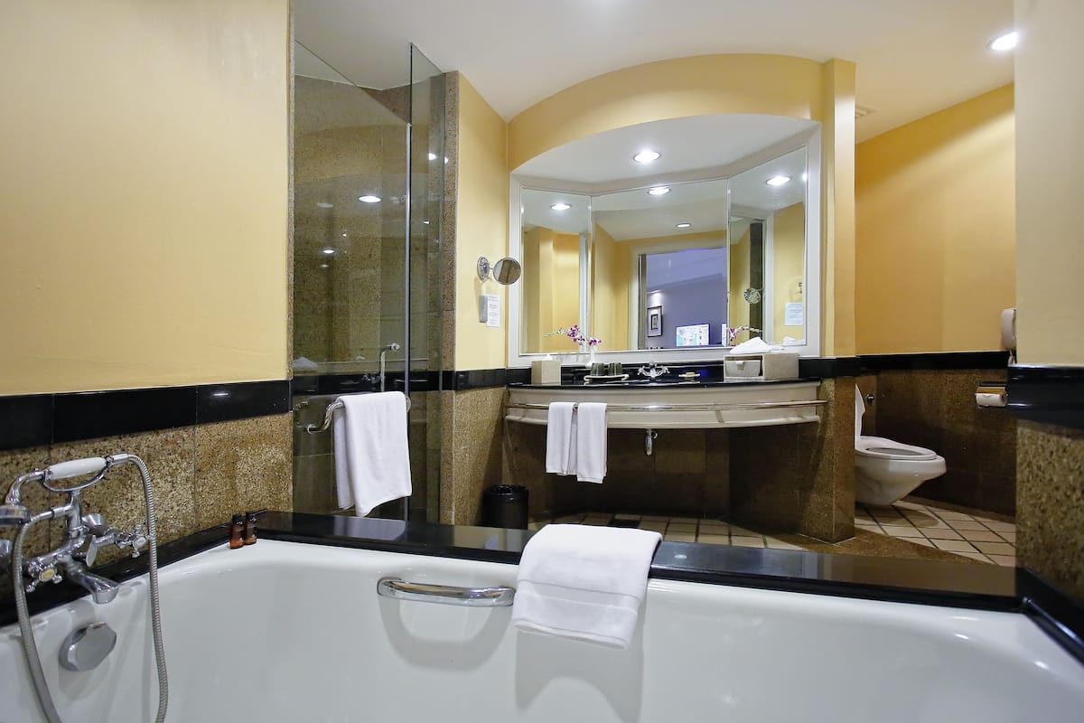 separate bathtub and shower, free toiletries, hair dryer, bathrobes