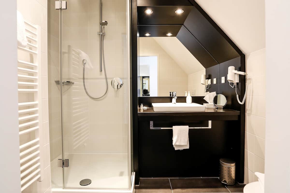 shower, free toiletries, hair dryer, slippers