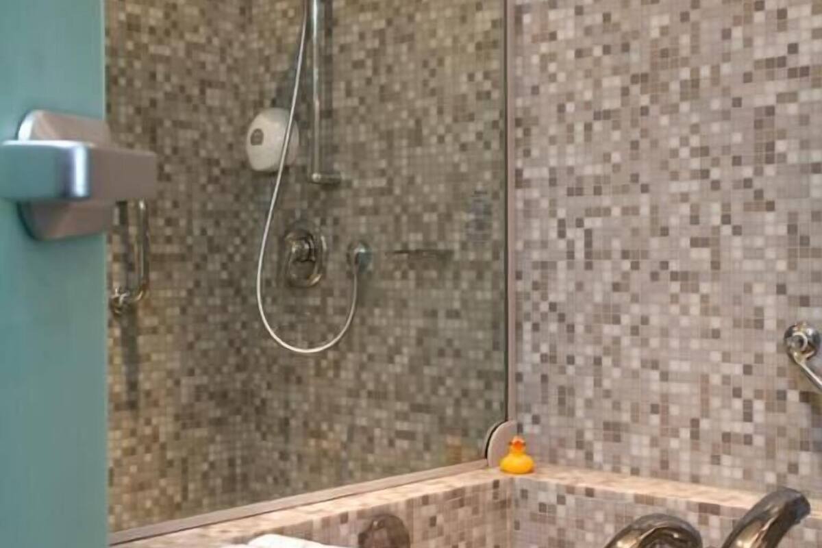 combined shower/bathtub, free toiletries, hair dryer, towels