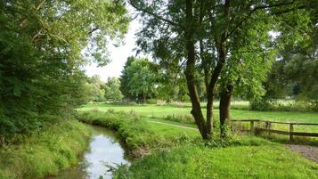 A serene park with a small stream, lush greenery, and a wooden fence.