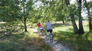 Dos personas montando en bicicleta por un sendero de tierra rodeado de árboles.