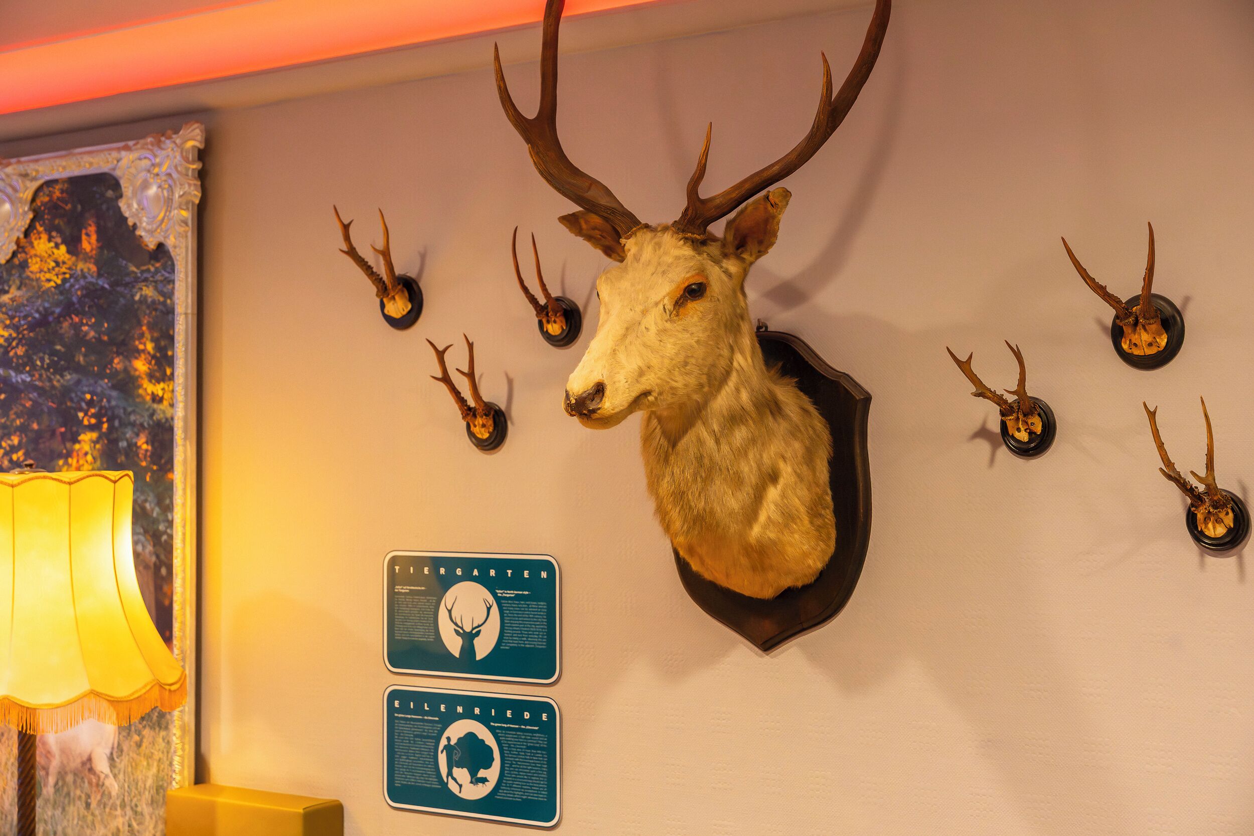 A room with a mounted deer head, several antlers, and two informational signs on the wall.