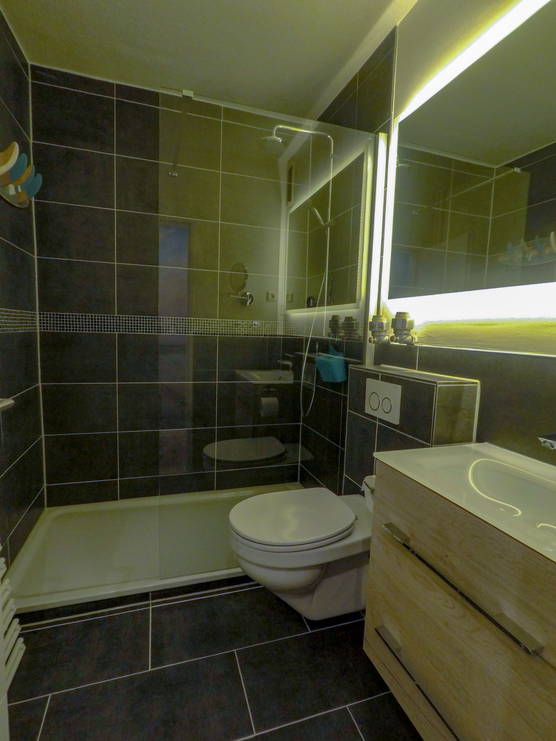 A modern bathroom with a glass-enclosed shower, a toilet, and a vanity with a mirror.
