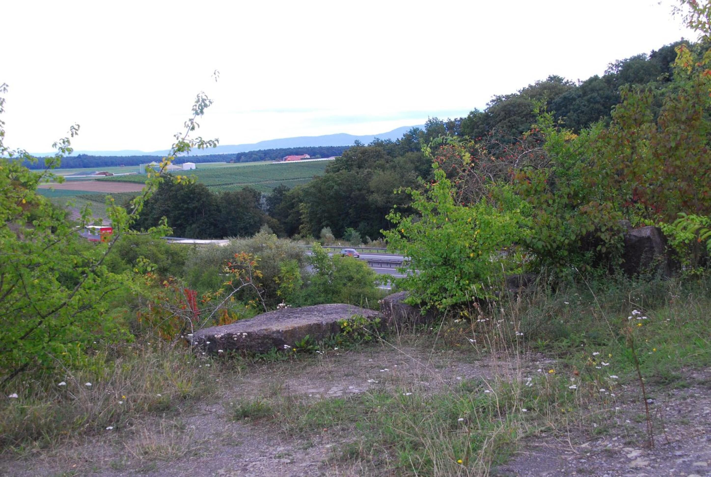 A rural landscape with a dirt path, greenery, and distant buildings.