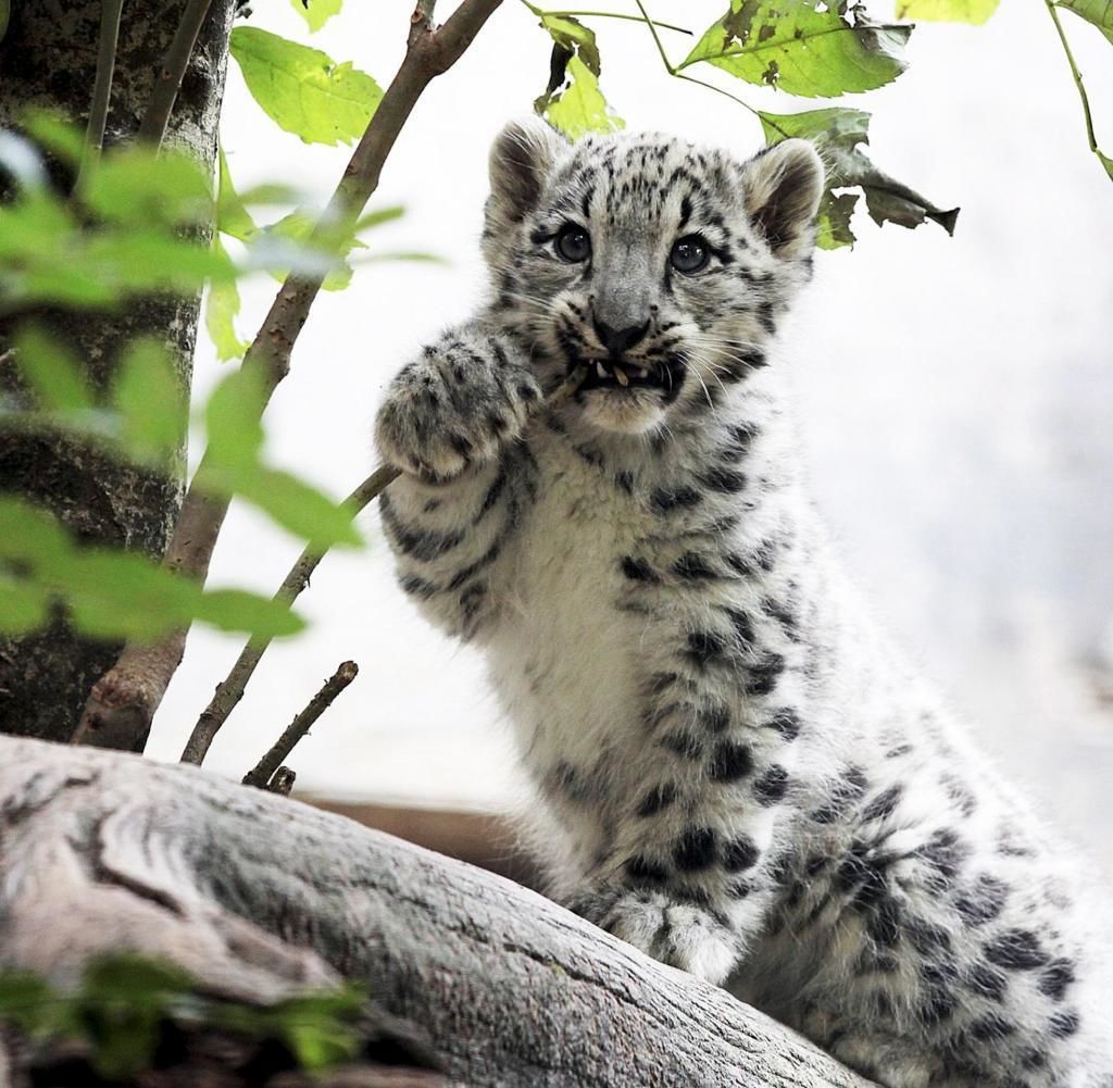 Photo - Mercure Stuttgart Zuffenhausen