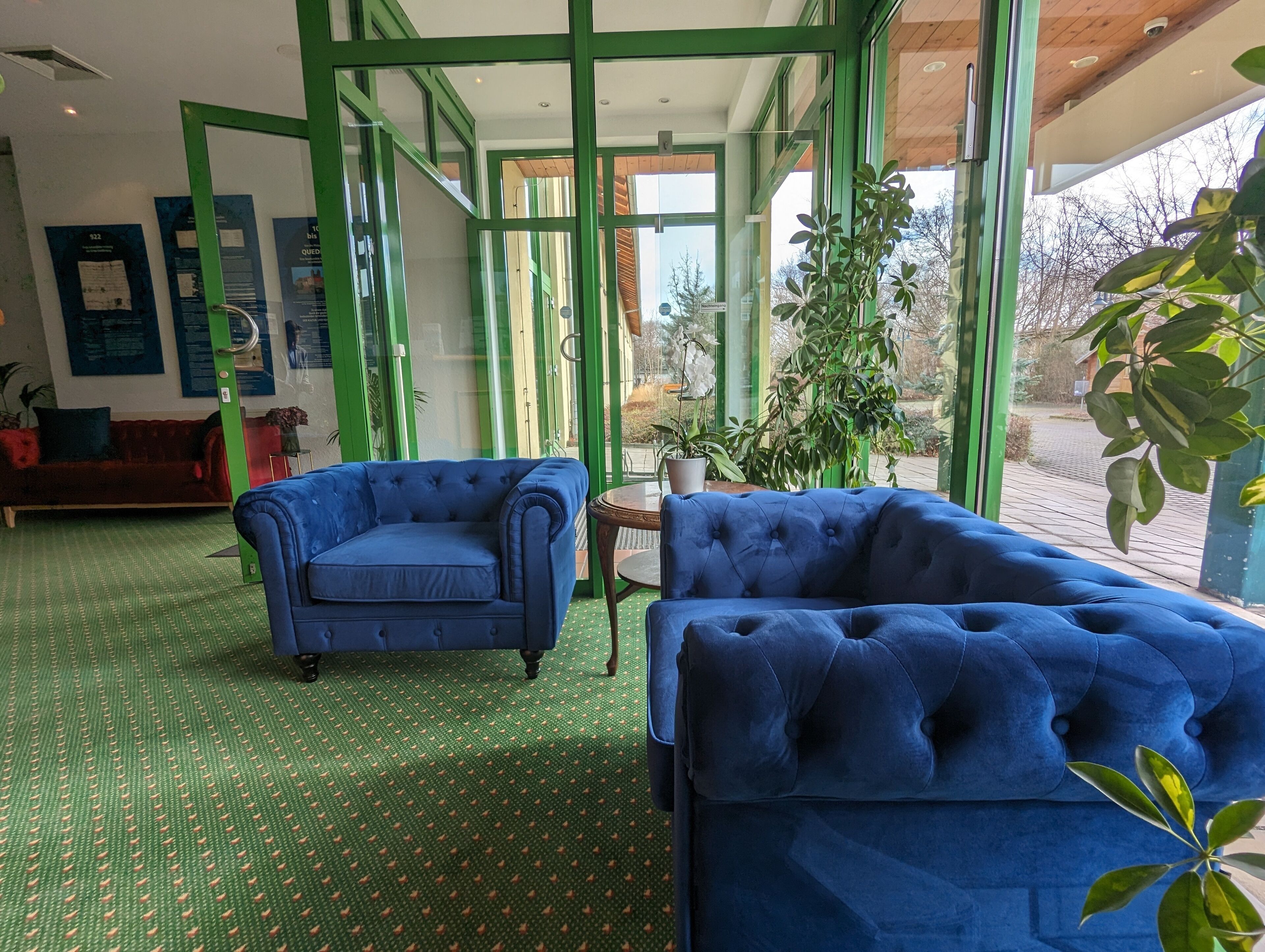 Une pièce avec une moquette verte, deux canapés bleus, une petite table et une plante en pot.