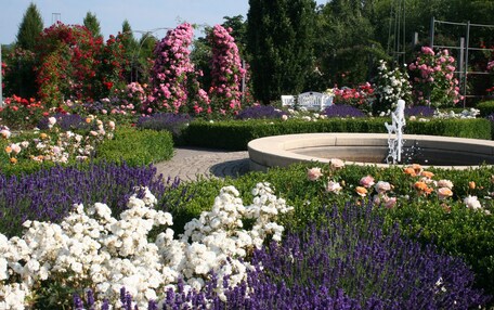 A garden with a circular fountain, various flower beds, and neatly trimmed hedges.