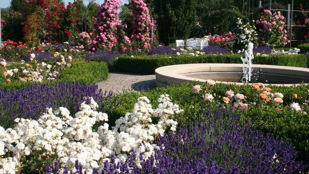 A garden with a circular fountain, various flower beds, and neatly trimmed hedges. - Hotel Zum Bürgergarten (Südharz)