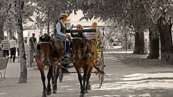 A horse-drawn carriage with passengers on a tree-lined street.