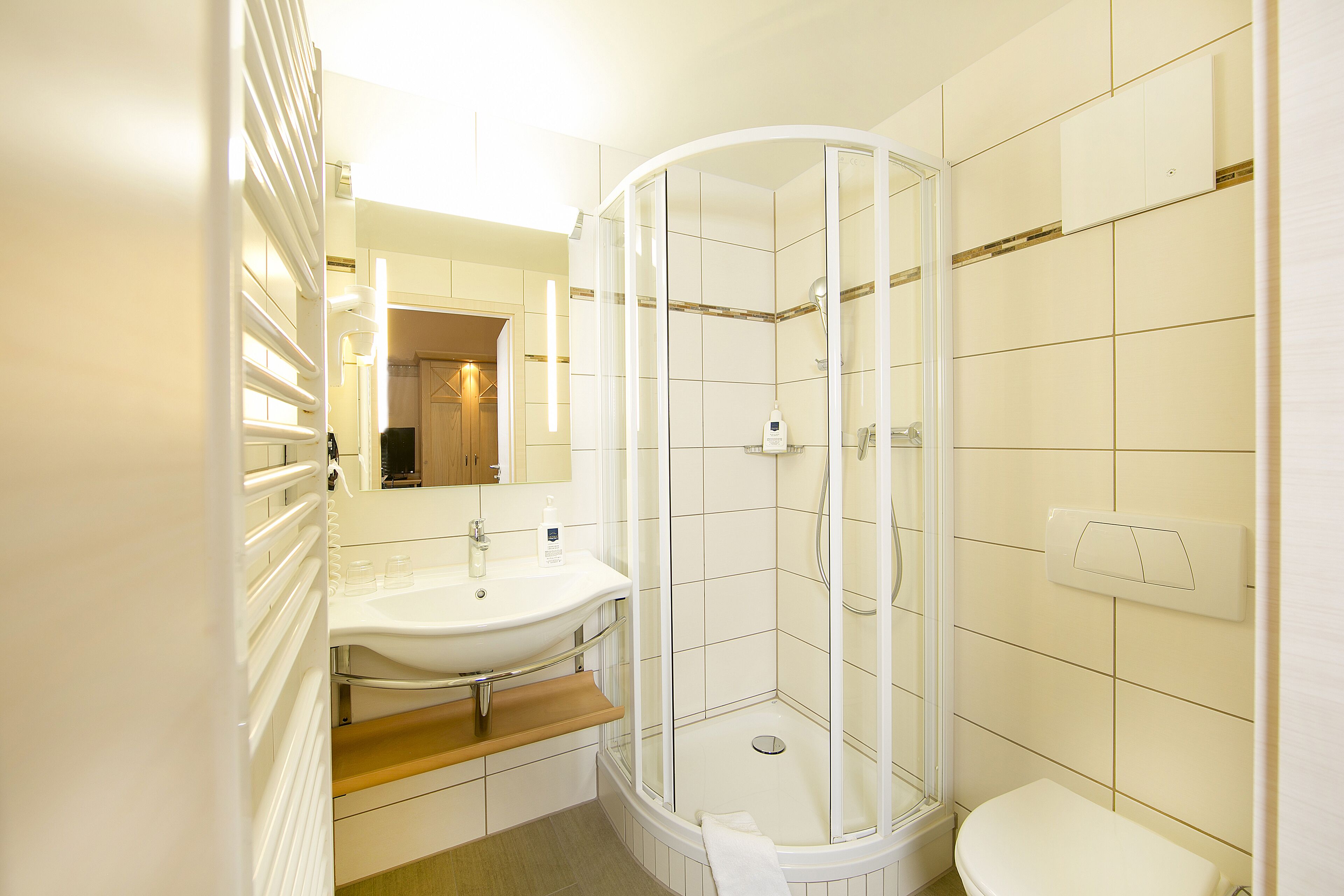 single room | bathroom | shower, hair dryer, towels