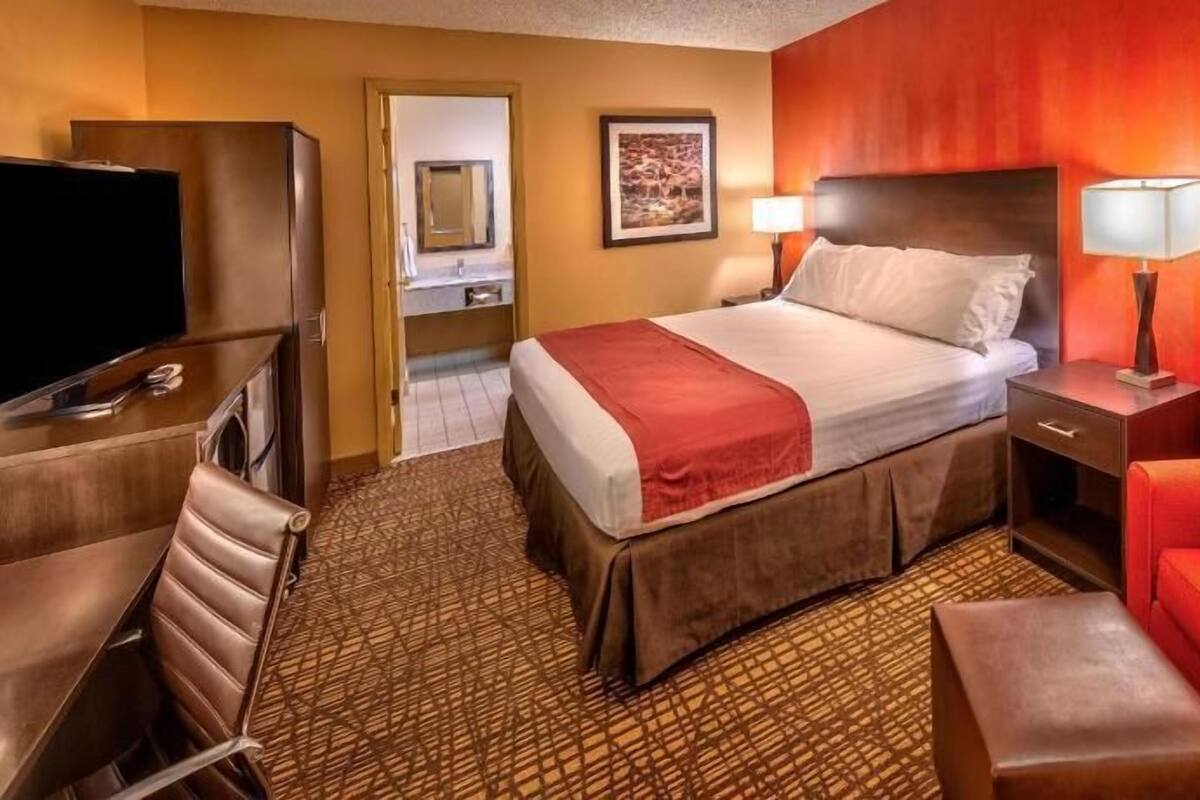 A hotel room with a bed, a TV, a desk, a chair, and a red sofa.