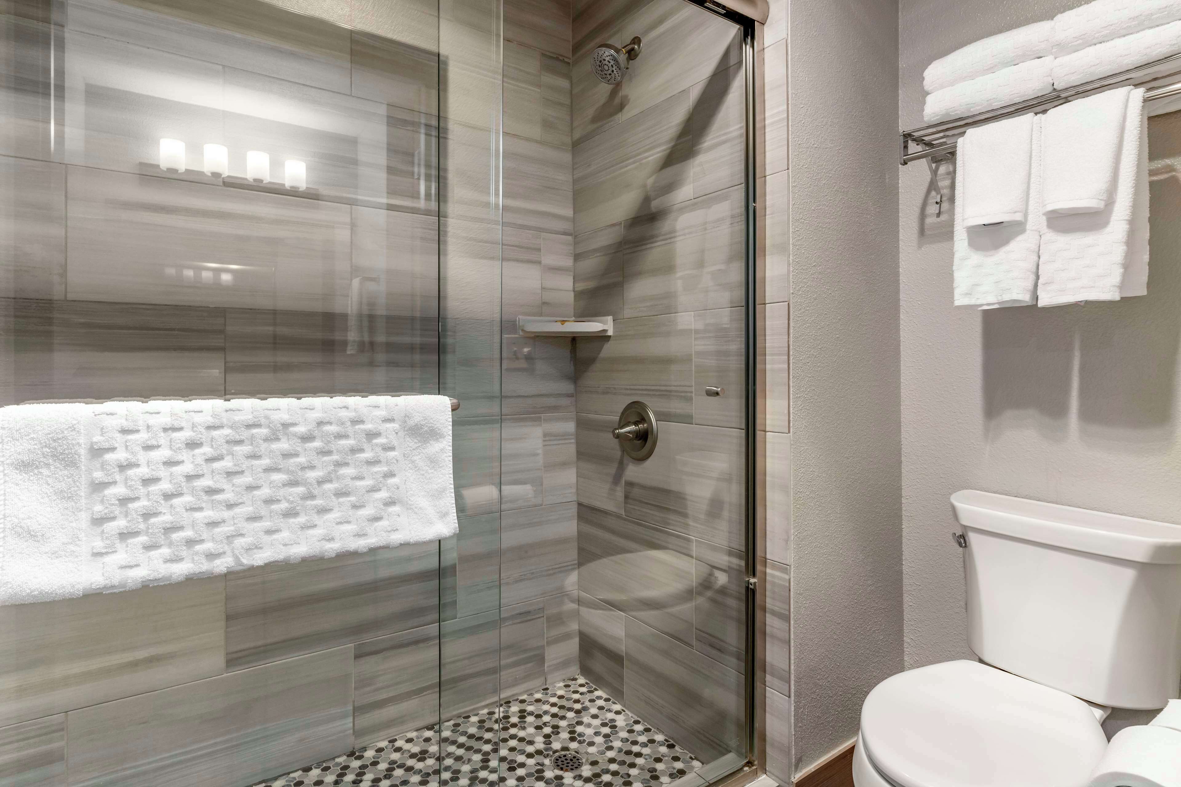 Un baño moderno con ducha acristalada, inodoro y puerta de cristal.