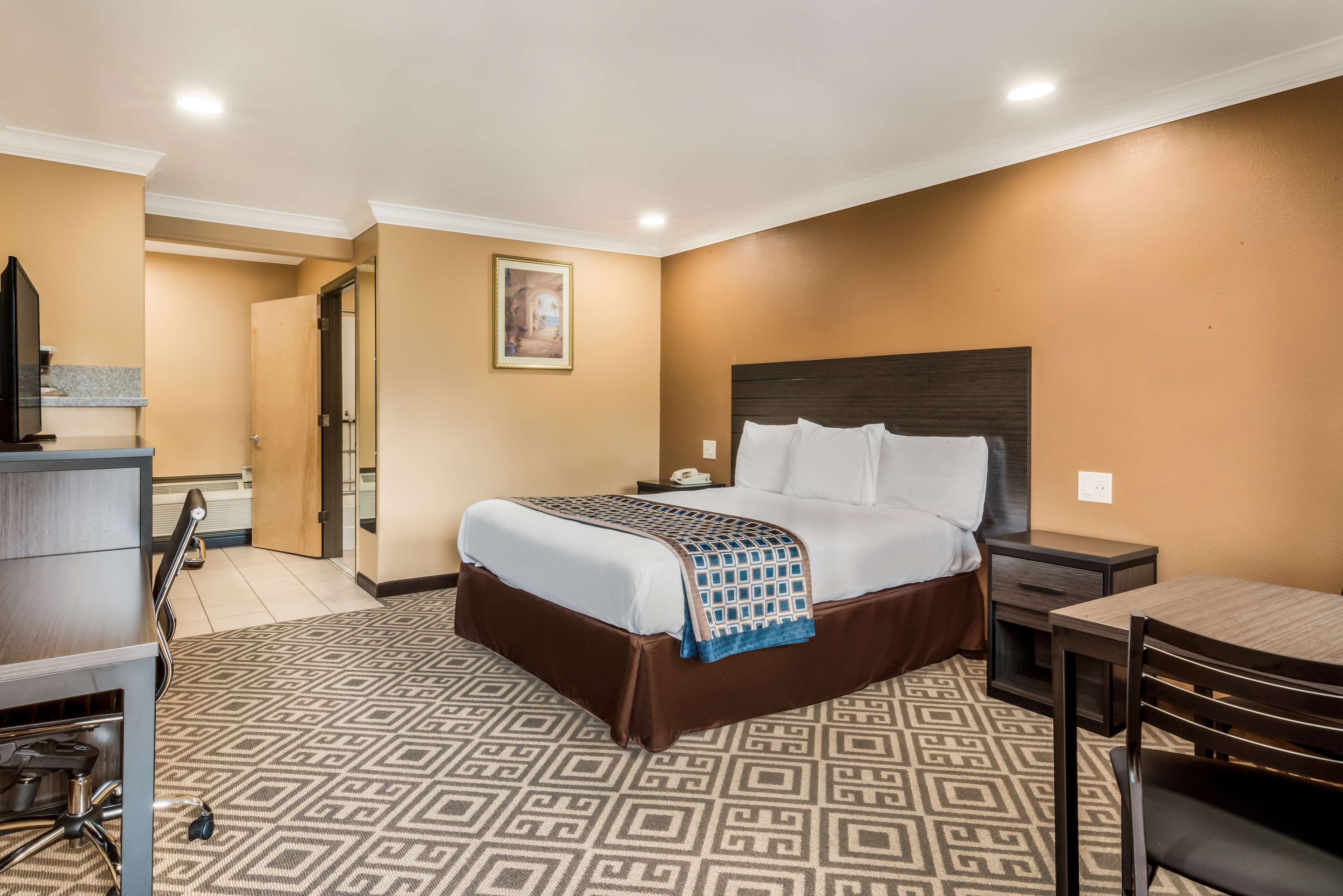 Habitación de hotel con cama, mesita de noche, escritorio, silla y alfombra estampada.