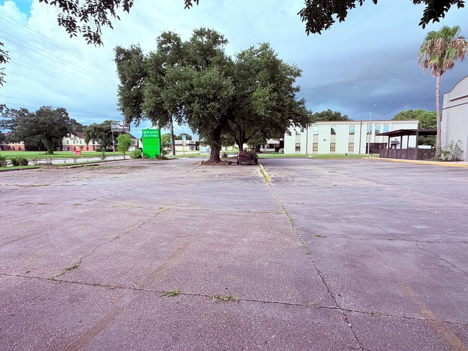 Um estacionamento vazio com uma grande árvore no centro, rodeado por edifícios e uma placa verde.