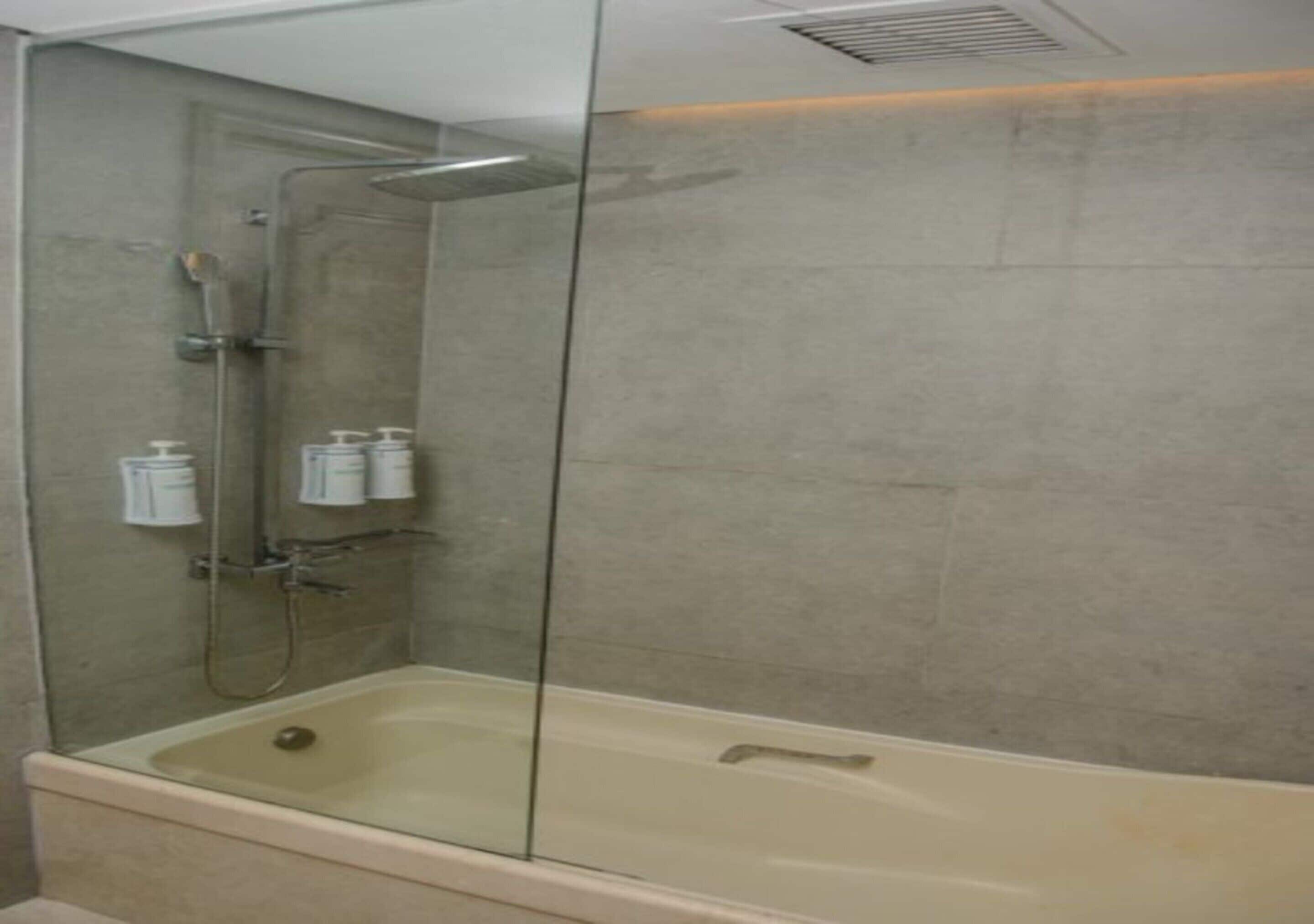 combined shower/bathtub, free toiletries, hair dryer, towels