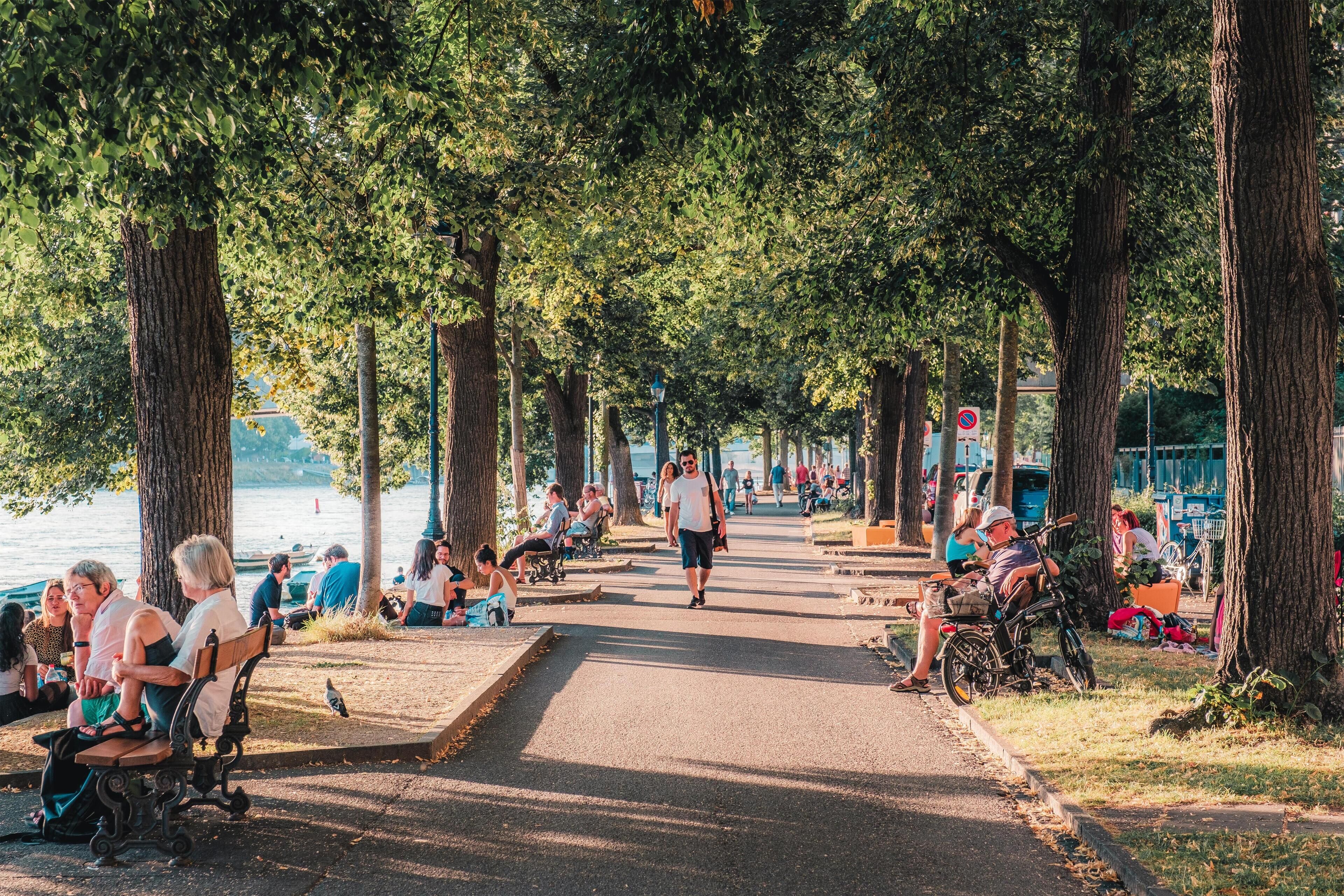 A park with a paved walkway lined with trees, benches, and people sitting and walking.