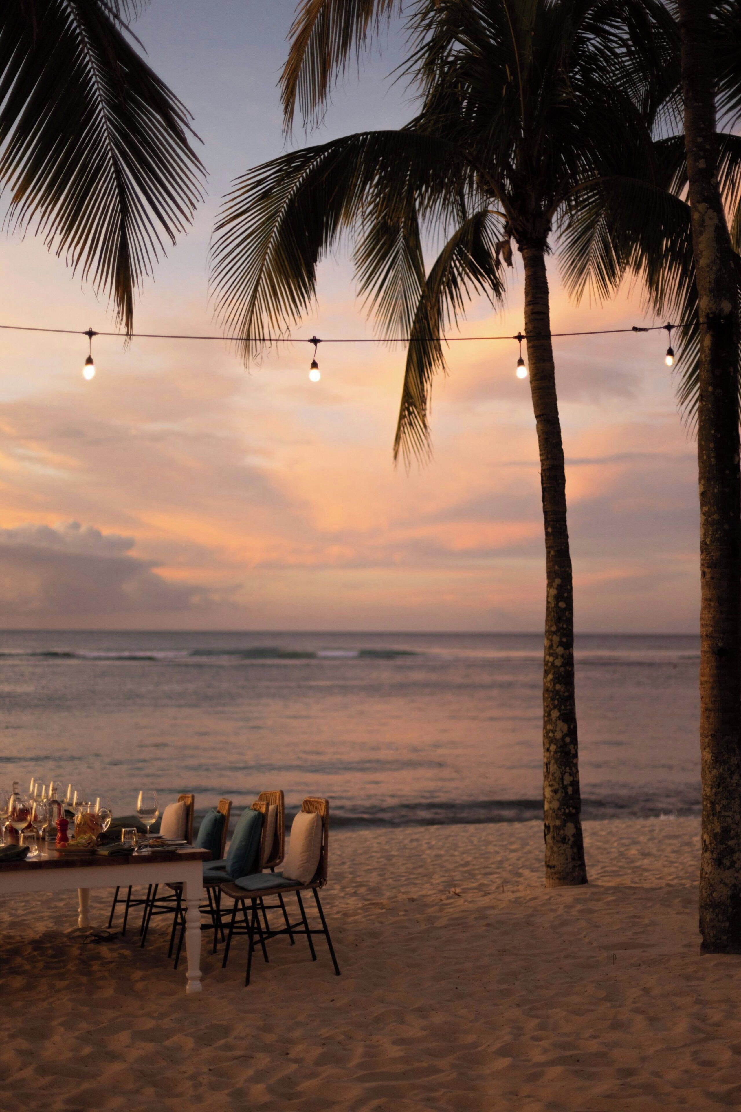 A beachside dining setup with a table and chairs, palm trees, and a view of the ocean.