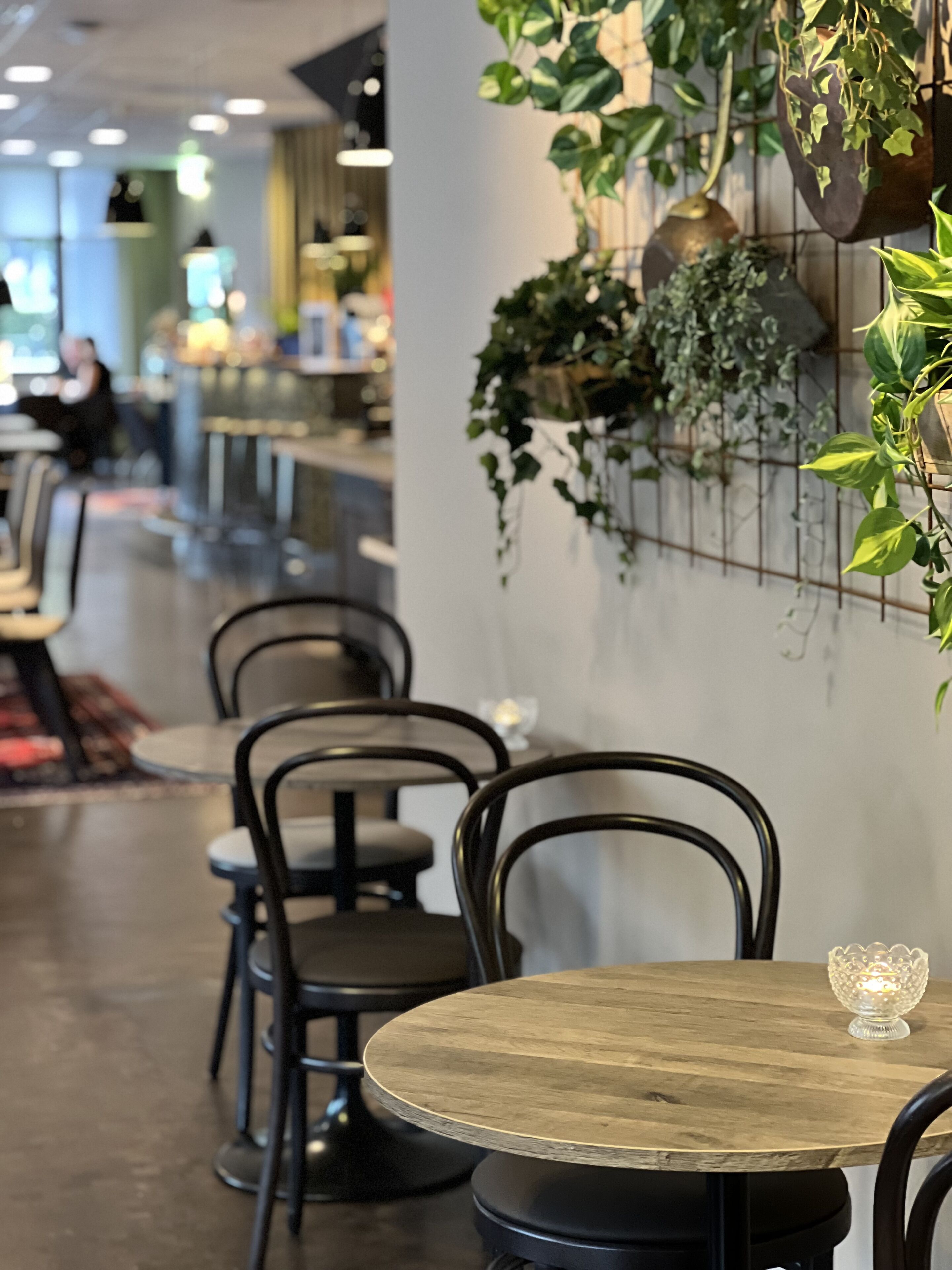 breakfast, lunch and dinner served