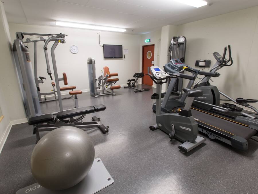 A gym with exercise equipment, a ball, and a treadmill.