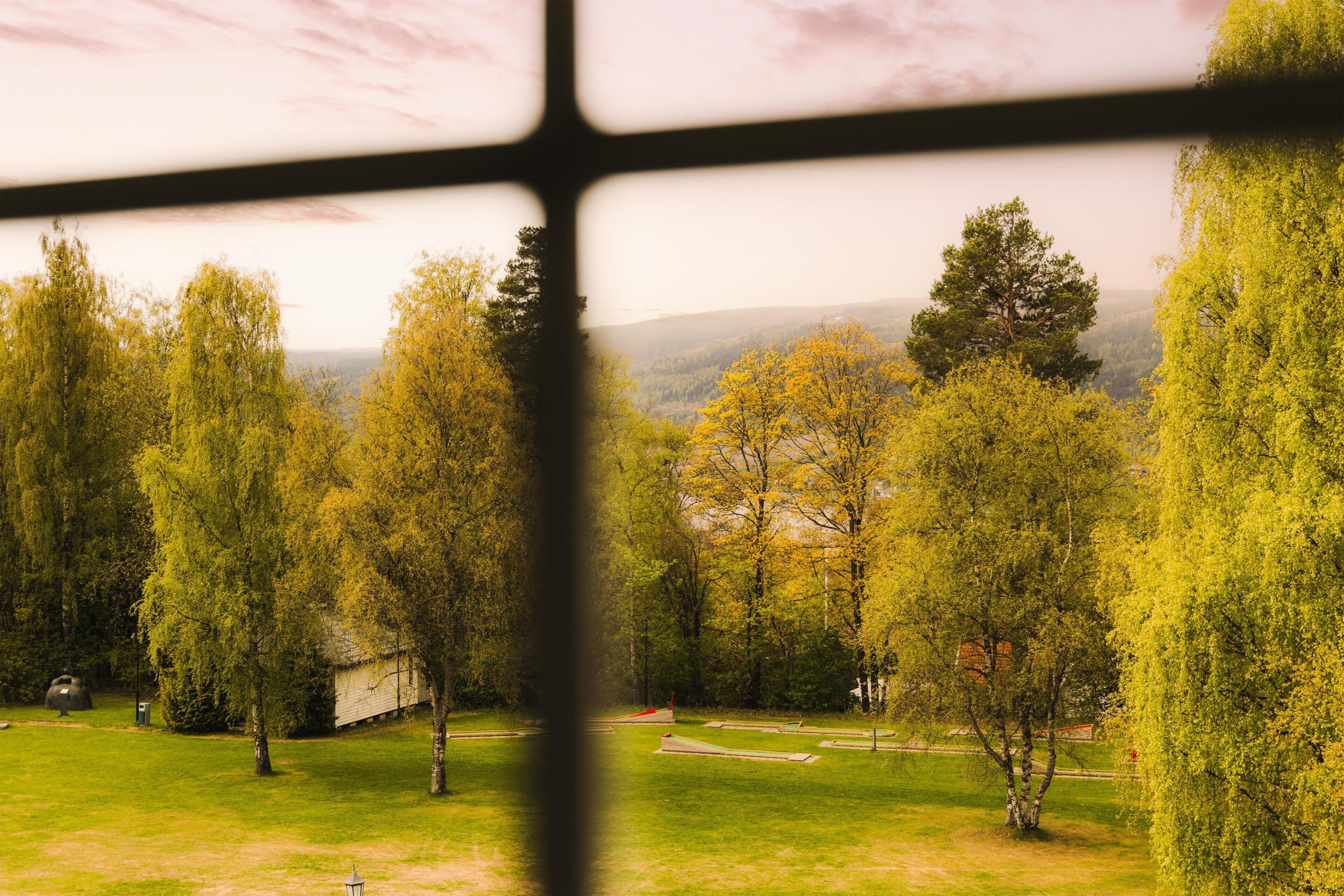 A view through a window of a park with trees, a grassy area, and a distant building.
