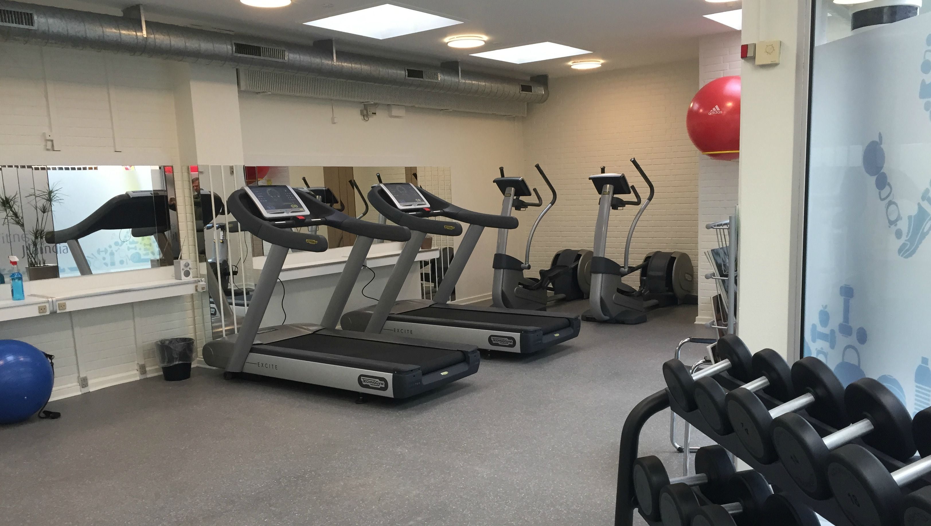 A gym with treadmills, a wall-mounted exercise ball, and a rack of dumbbells.