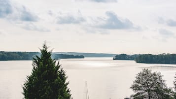 En rolig sø med træer i forgrunden og en fjern kystlinje.