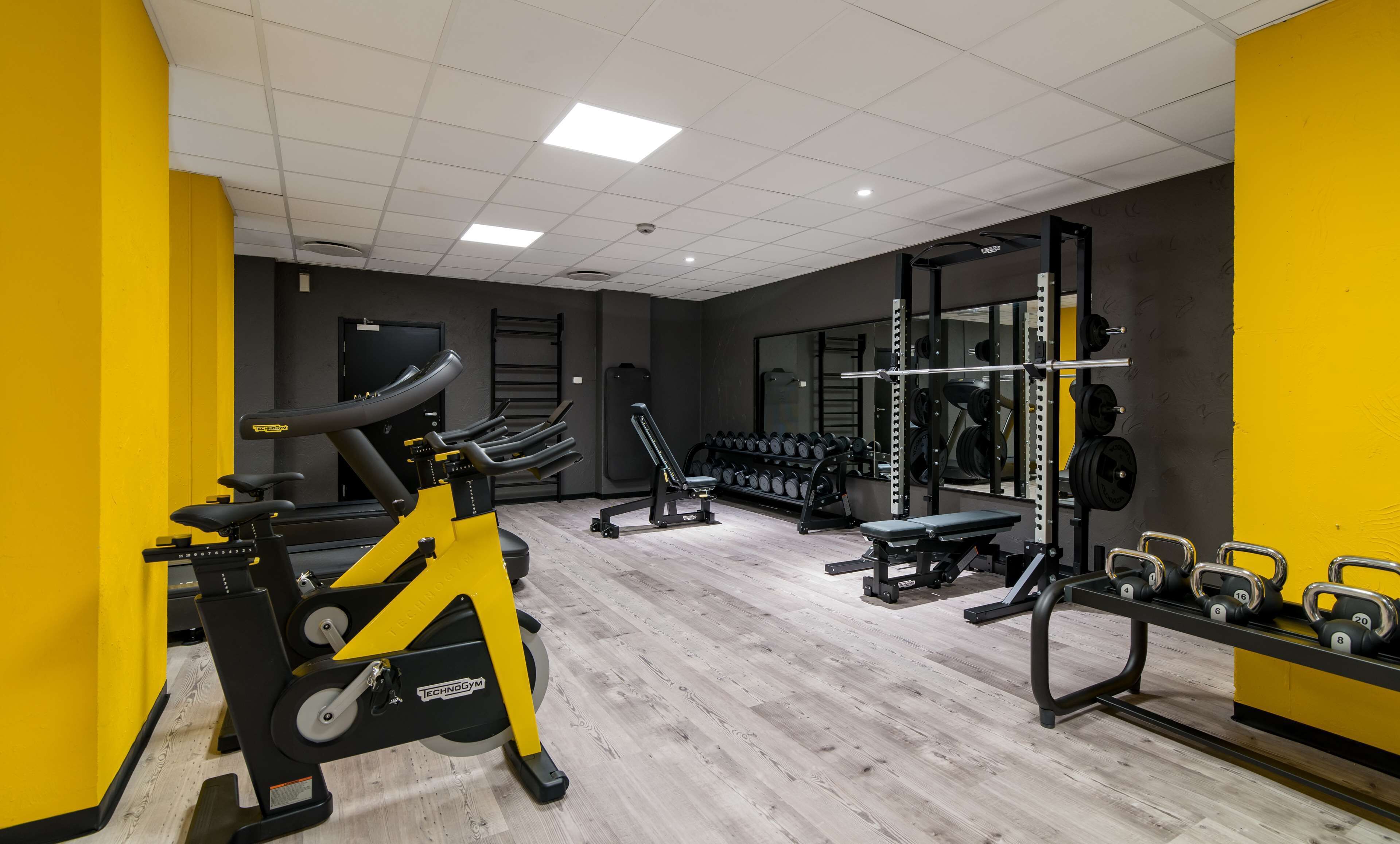 Une salle de sport équipée de machines de cardio, de poids libres et d’un support pour les exercices de squat.