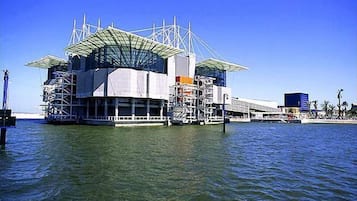 A large, multi-level waterfront building with a distinctive roof structure, surrounded by water.