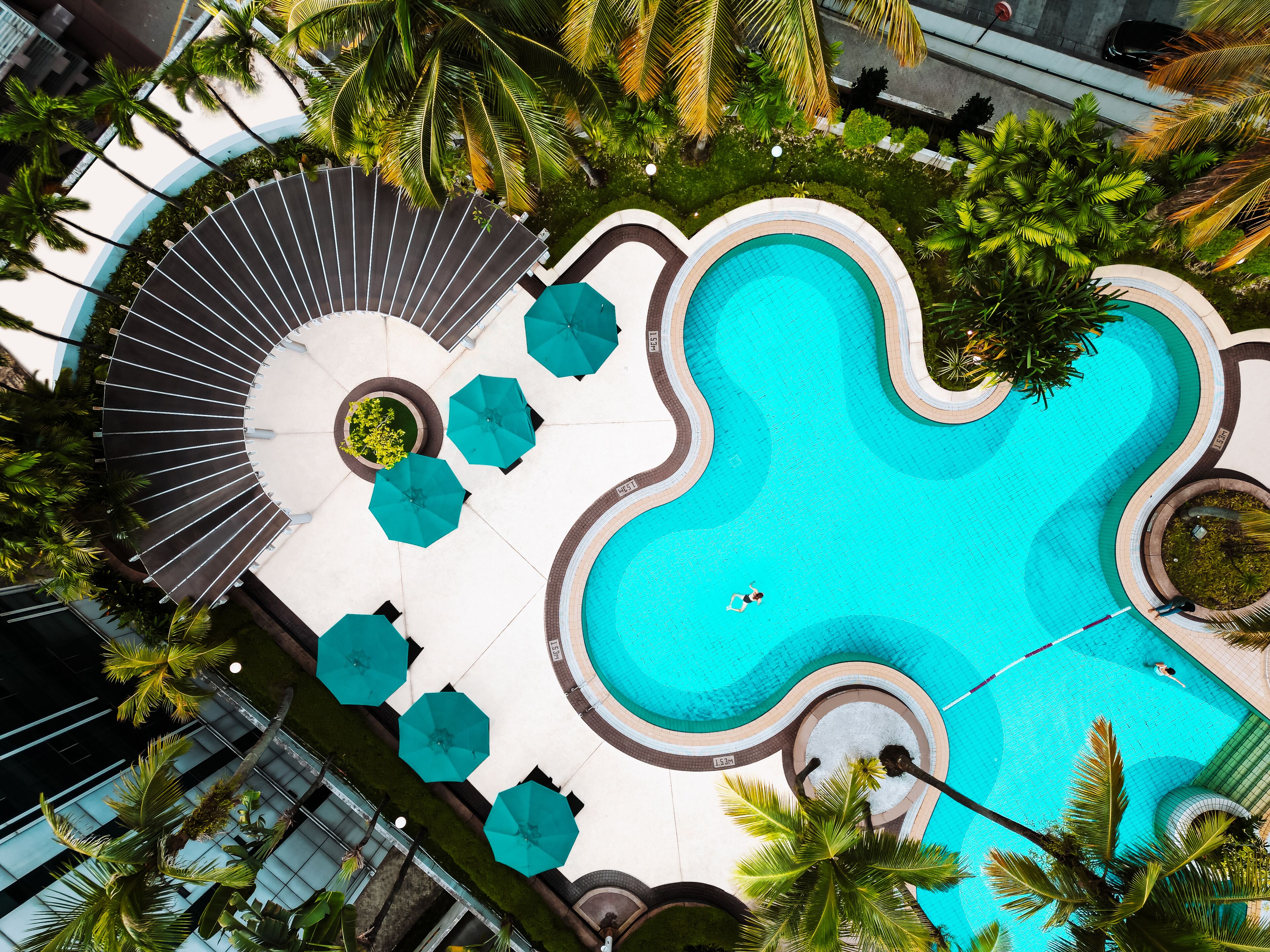 outdoor pool, pool umbrellas, pool loungers