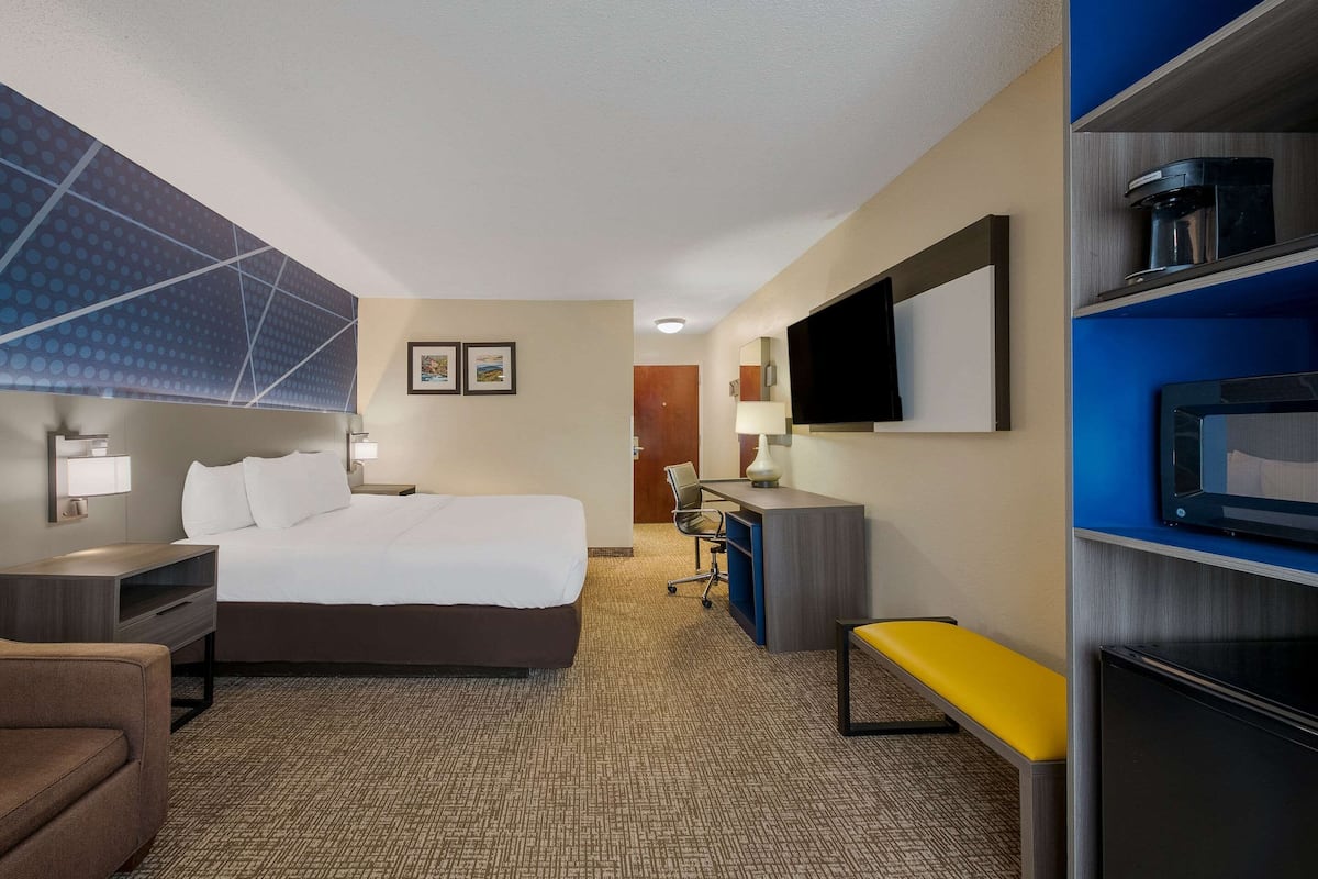 Una habitación de hotel con una cama grande, un escritorio, una silla, un banco, un televisor y un microondas.