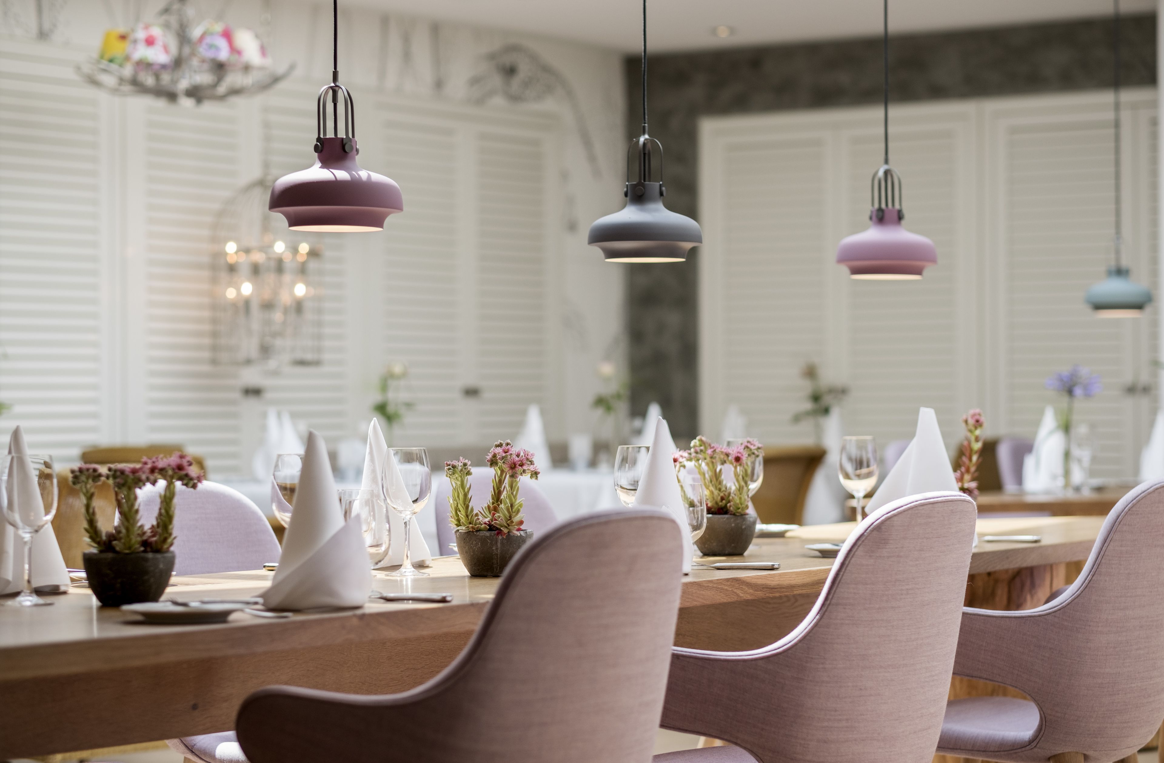 A dining area with a long table set for a meal, featuring chairs, plates, glasses, and potted plants.