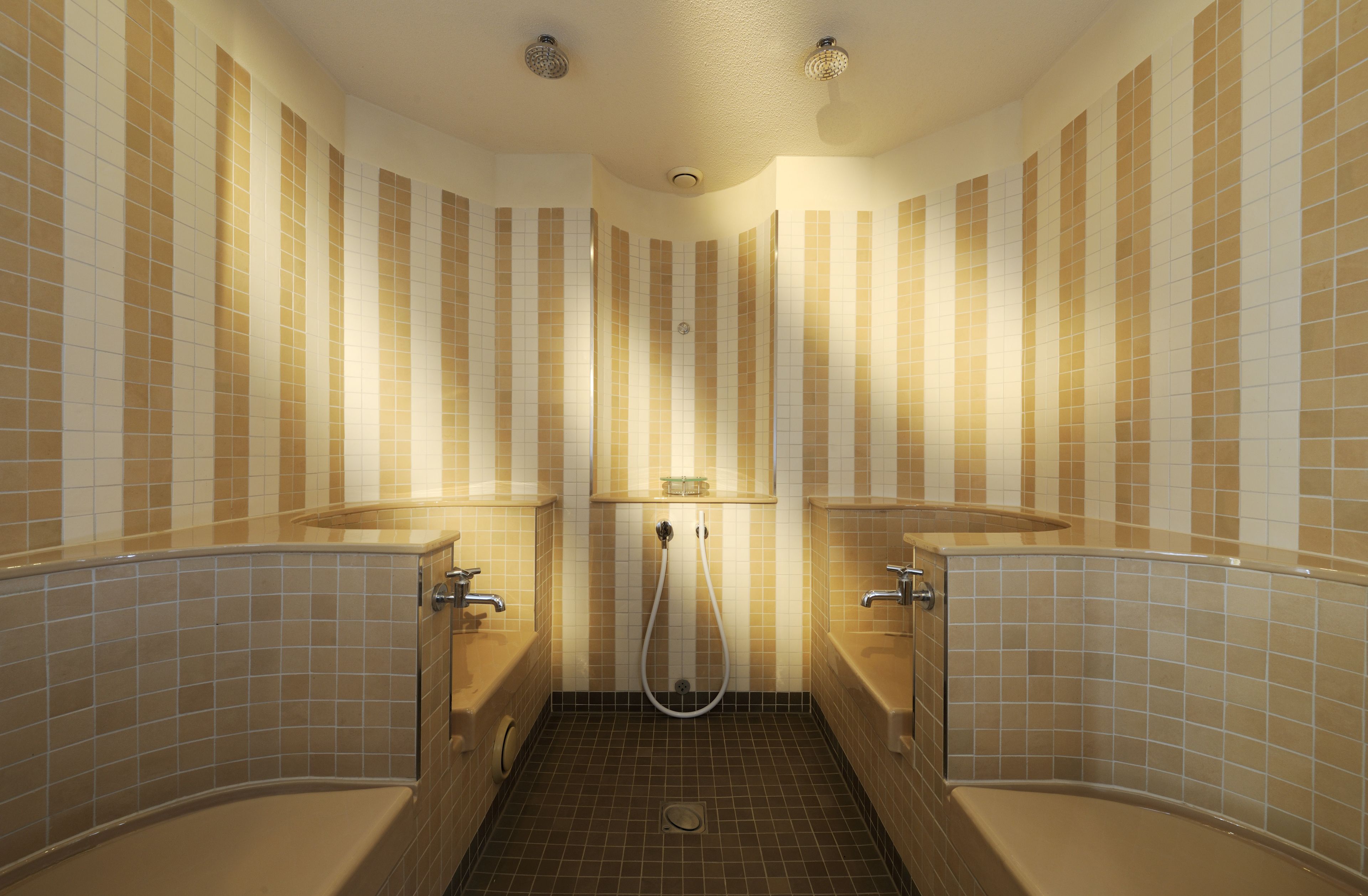 sauna, hot tub, steam room, body treatments, hot stone massages