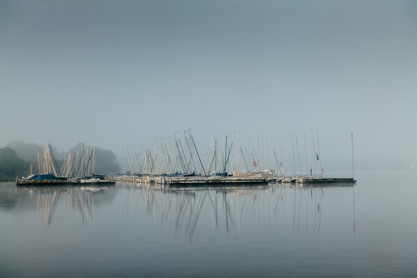 A calm harbor with multiple sailboats docked at a pier.