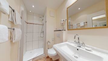 A modern bathroom with a walk-in shower, toilet, and a large sink with a mirror.