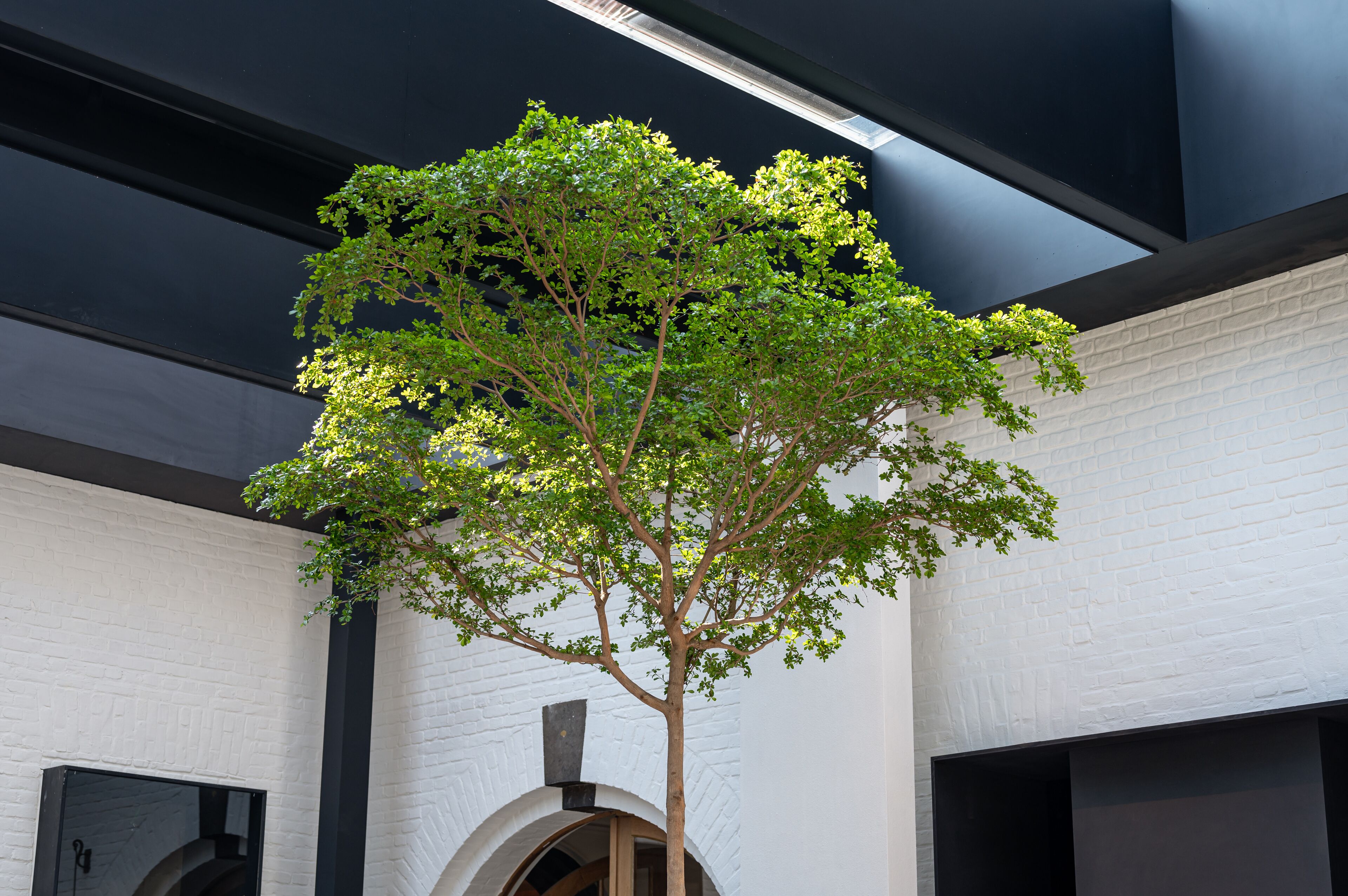 2 restaurants, breakfast, lunch, dinner served; french cuisine