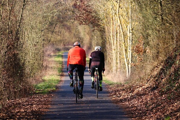 Two cyclists on a tree-lined path. - Ratskeller Wiedenbrück (Rheda-Wiedenbruck)