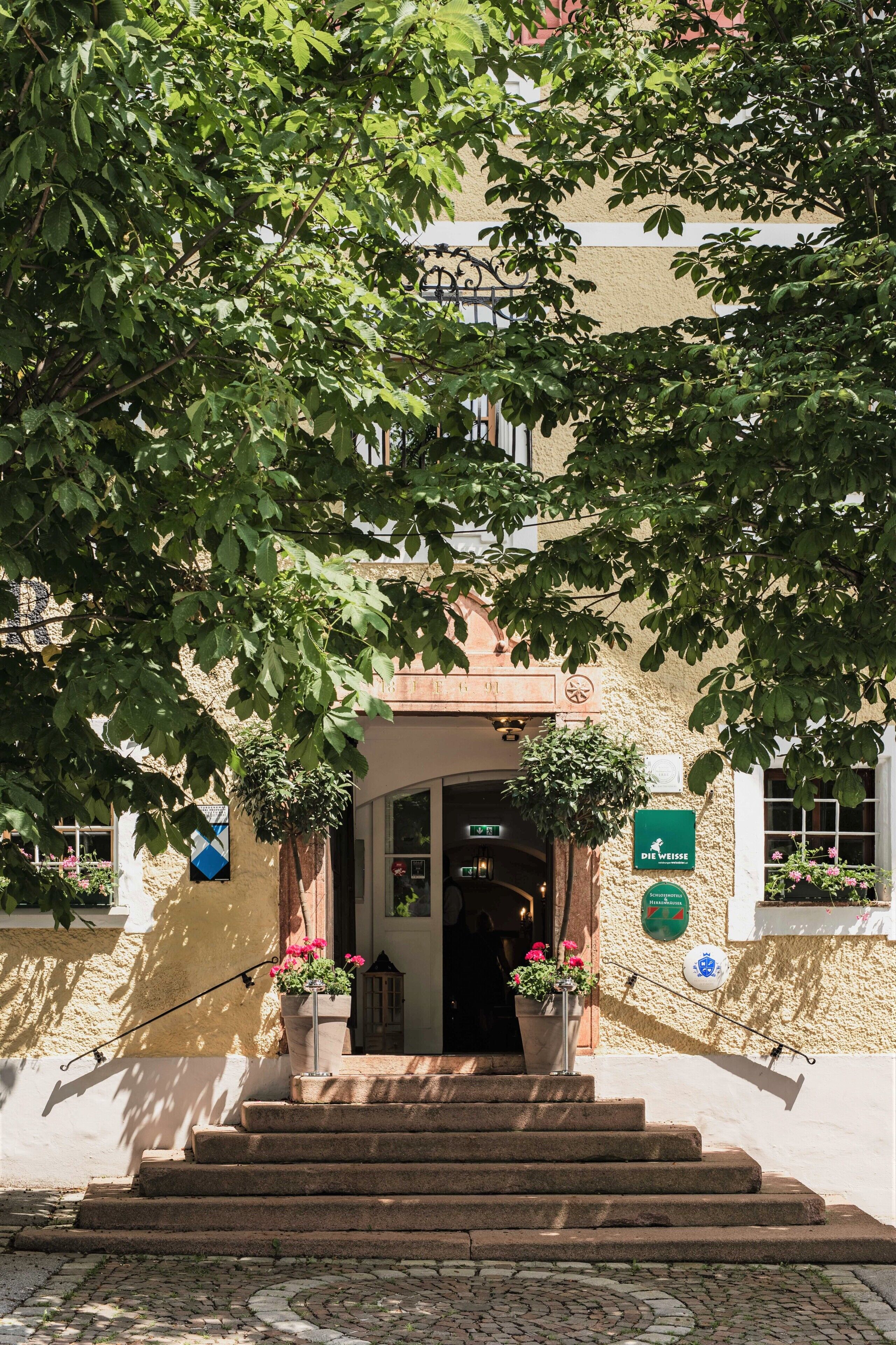 Une entrée d’immeuble avec un escalier menant à une porte, le tout entouré de verdure.