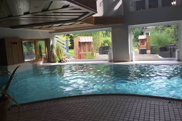 Indoor pool, pool loungers