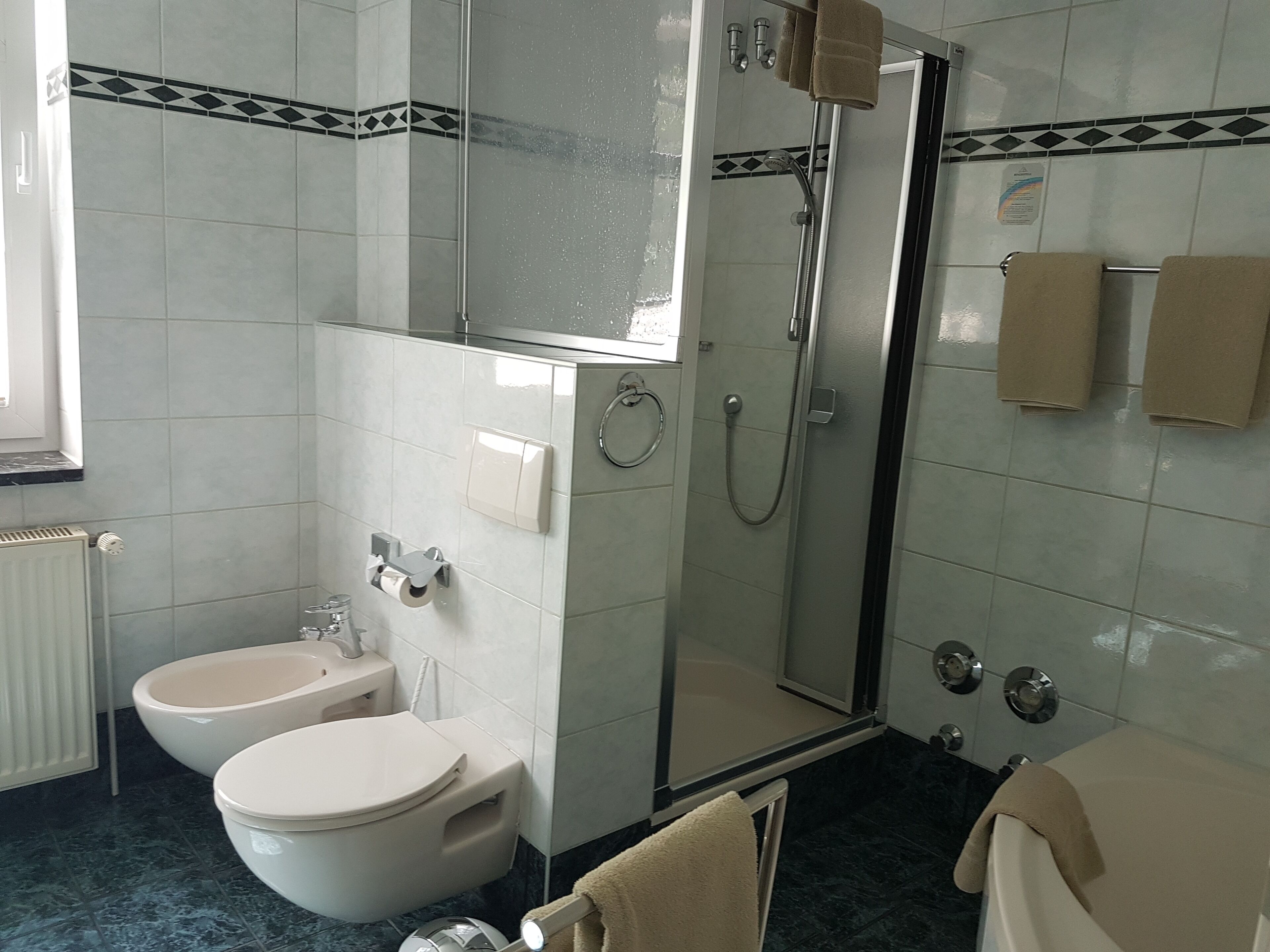 Ein Badezimmer mit Toilette, Bidet und Dusche.
