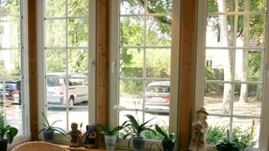 Una habitación con ventanas amplias, mobiliario de mimbre y plantas en macetas.